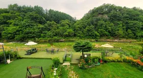 Gapyeong Chorok Jeongwon Gyegok Dokchae Pension - Image 5
