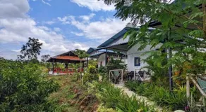 Zelten im Wilderness Jungle Camp - Image 4