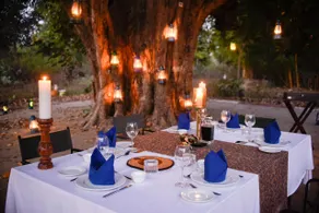 Club Mahindra Bandhavgarh Meadows Resort - Image 4