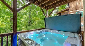 Bear Pause Cabin 3 BR/3BA Amazing view of the Lake - Image 5