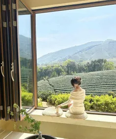 Yunqinyao Mountain White Tea Valley Holiday Villa - Image 2