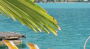 Four Seasons Apartment "GREEN PARADISE" - Image 4
