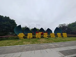 Suining Dongxu Sunshine International Hotel - Image 4