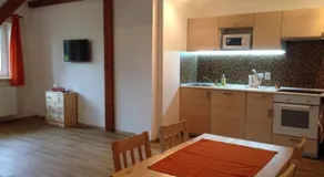 Apartment Vlčice u Trutnova - Image 3