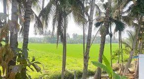 Natures Paradise Farm Stay - Image 3