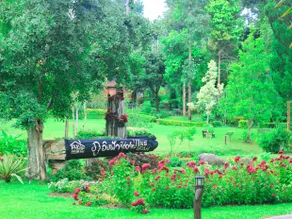 Phuingfah - Image 3