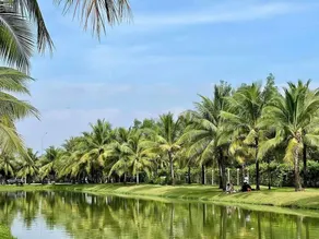 GÂY THƯƠNG NHỚ Homestay Phòng trong vinhome grand park tên cũ I love vinhome grand park - Image 5