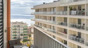 Camélia's Apartment I by An Island Apart, Lda - Image 2