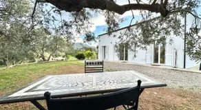 Sunny Hill - Image 4