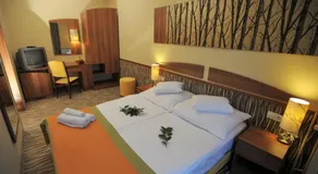 Park Hotel Gyula - Image 2