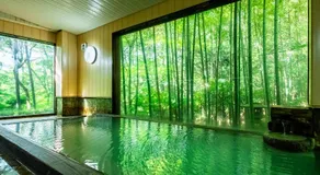 Hakone Onsen Sanso Nakamura - Image 3