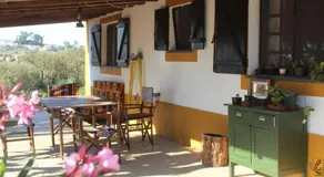 Gosto do Campo - Image 4