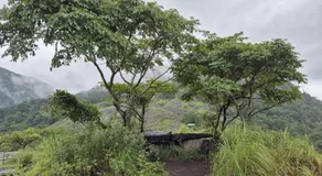 Mamalakandam - The White house, Diya homestay - Image 3