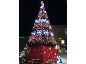 Guest House Dome - Image 2