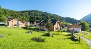 Landal Bad Kleinkirchheim - Image 2