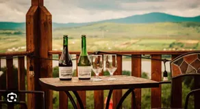 Domaine Steinbach Cidrerie B&B Distillerie - Image 5