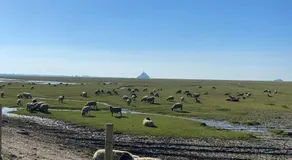 Le Relais de la Hardiesse 6km Mont St Michel - Chambres d'hôtes et gites - Image 2