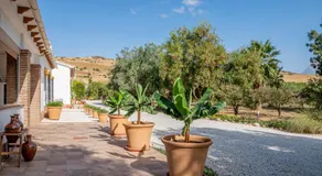Finca El Limonar - Image 5
