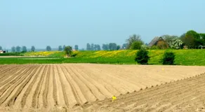 de Twee Paardjes - Image 3