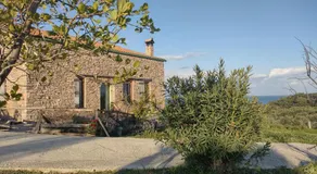 Raphale - Image 5