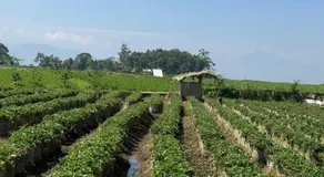 Stay and Farm Hostel - Image 5