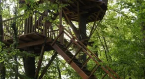 Cabane Maya - Ile aux Cabanes - Image 4