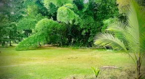Casa Vagon Isla Bendita - Image 2