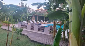 Amelia's Garden ΙΙ - Image 4