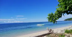Genevieve Guest House and Tours - Image 5