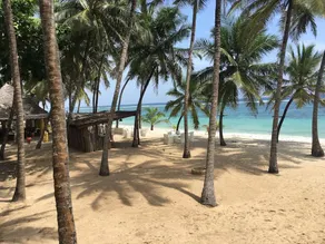 The Coconut Beach Boutique Lodge and Spa - Image 5