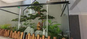 Jieshun Business Hotel - Image 5