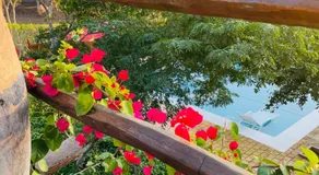 Mangal Beach Lodge - Image 5