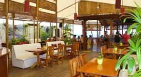 Vida Hermosa - Image 4