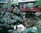 Yahikokan Myogaya - Image 3