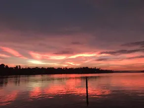 Manjaly Backwater Premium Resort - Image 2