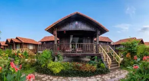 The Palm Tree Bungalow - Image 4