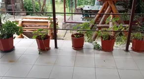 Casa Daniela - Image 2