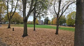 Chiswick Residence Homeshare - Image 3