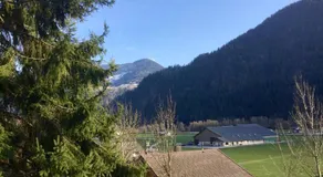 Le chalet de Bernoline vaste appartement tout confort - Image 2