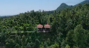 The Sekumpul Villa - Image 5