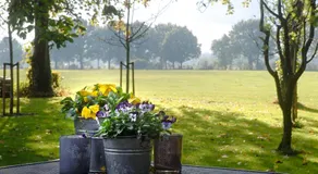 Op de Kuyerlatten - Image 5