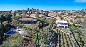 Vineyard Estate - Image 5
