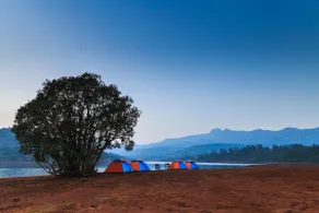 Resort Park - Image 3