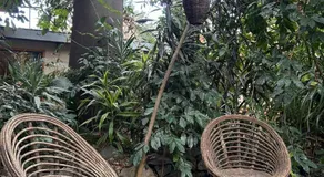 El Bungalow de Juana - Image 5
