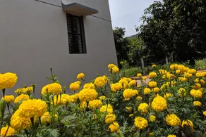 Valley  Views |nature|mango farm|eco|hills|orchard - Image 5