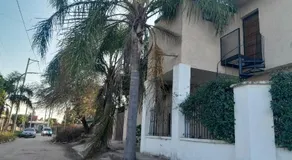 Departamento de los pájaros - Image 5