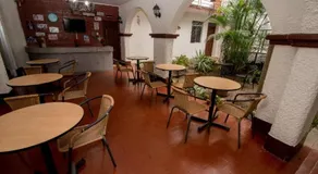 Nuevo Bamboo - Image 5