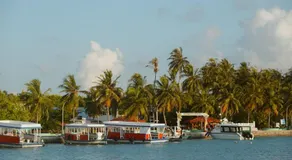 Avi Cabana - Image 5