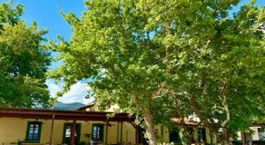 Kyriakos Apartments - Image 4