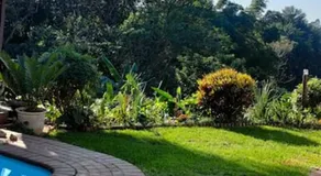 The right place : Ideal for the smart business person. 25km to DBN. - Image 4